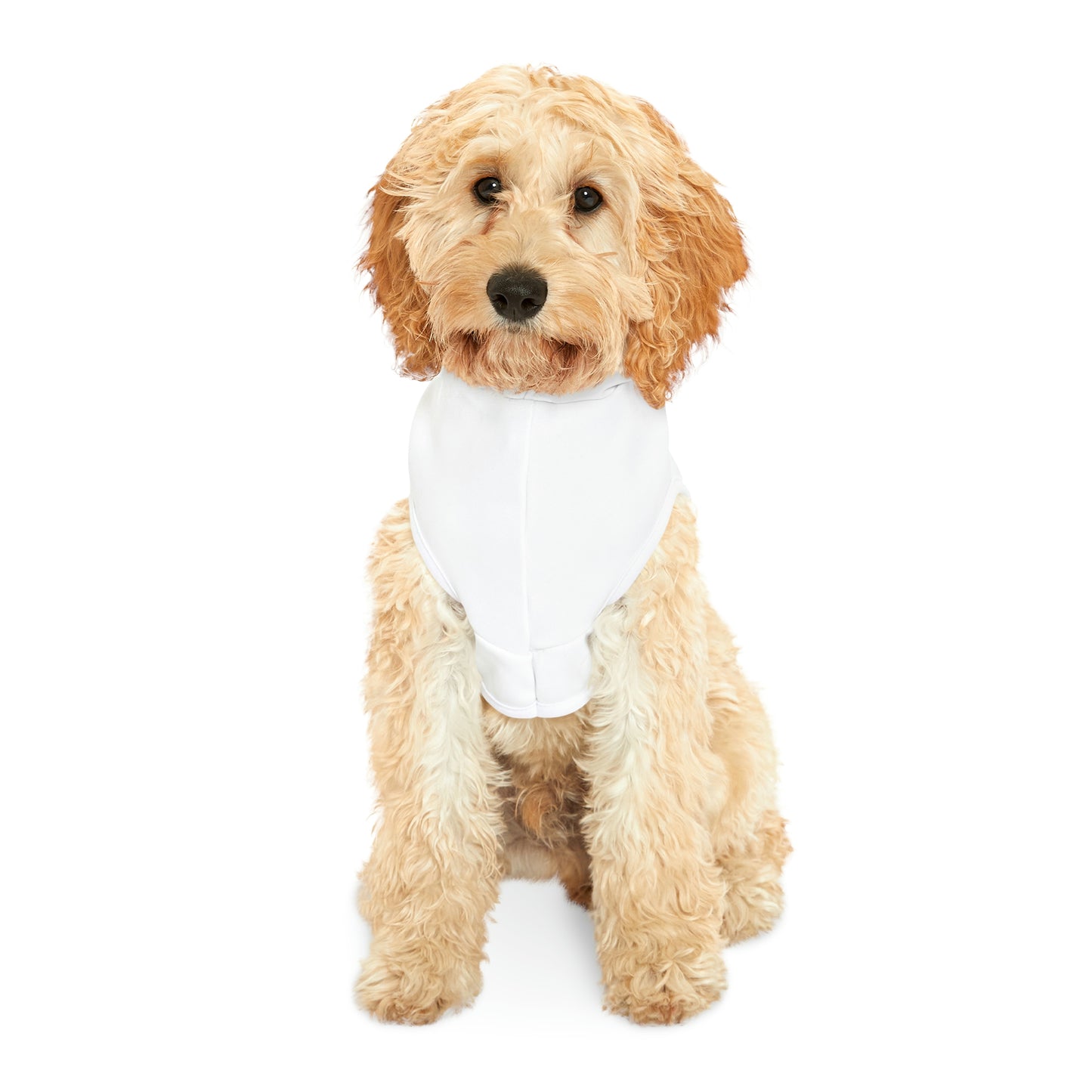 Hoodie For Your Precious Pet