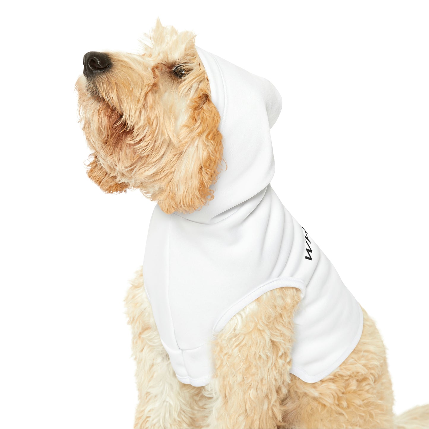 Hoodie For Your Precious Pet