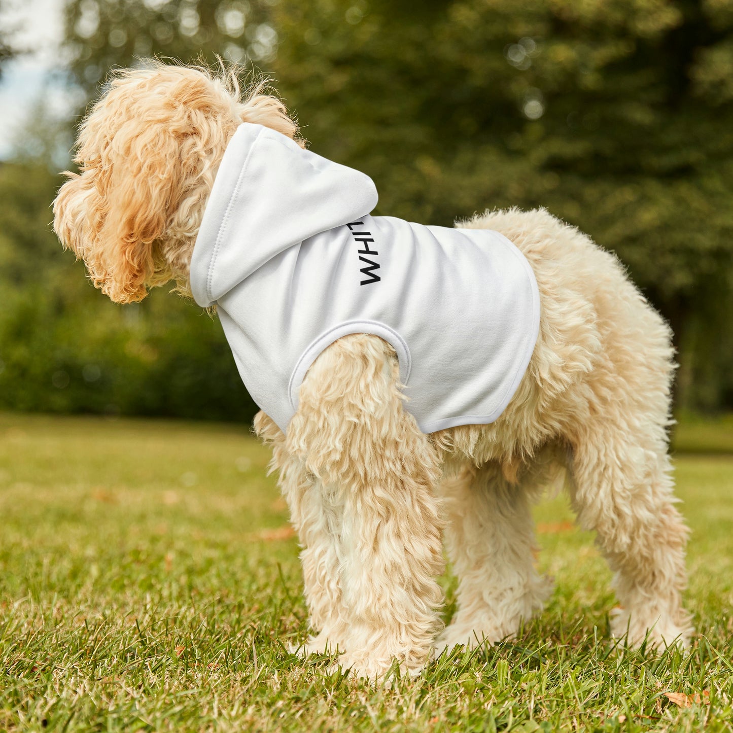 Hoodie For Your Precious Pet