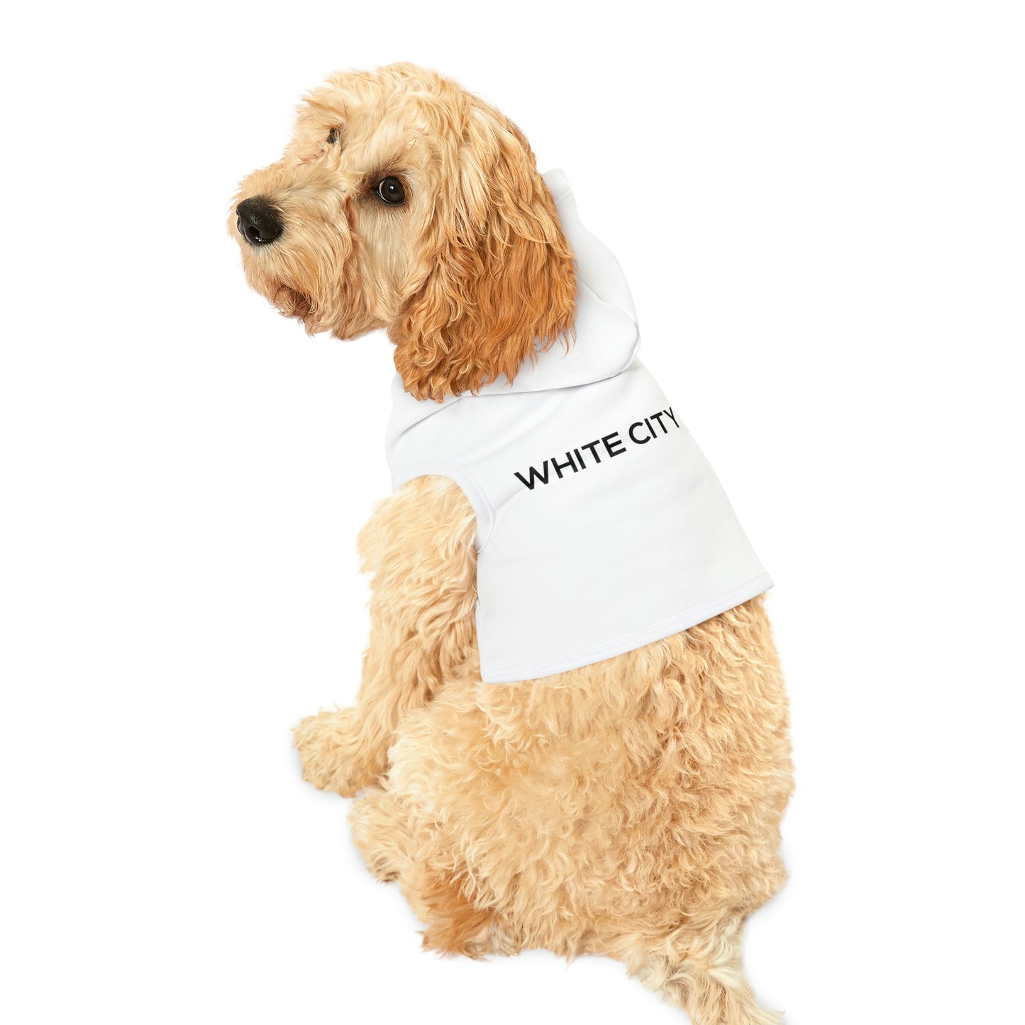 Hoodie For Your Precious Pet