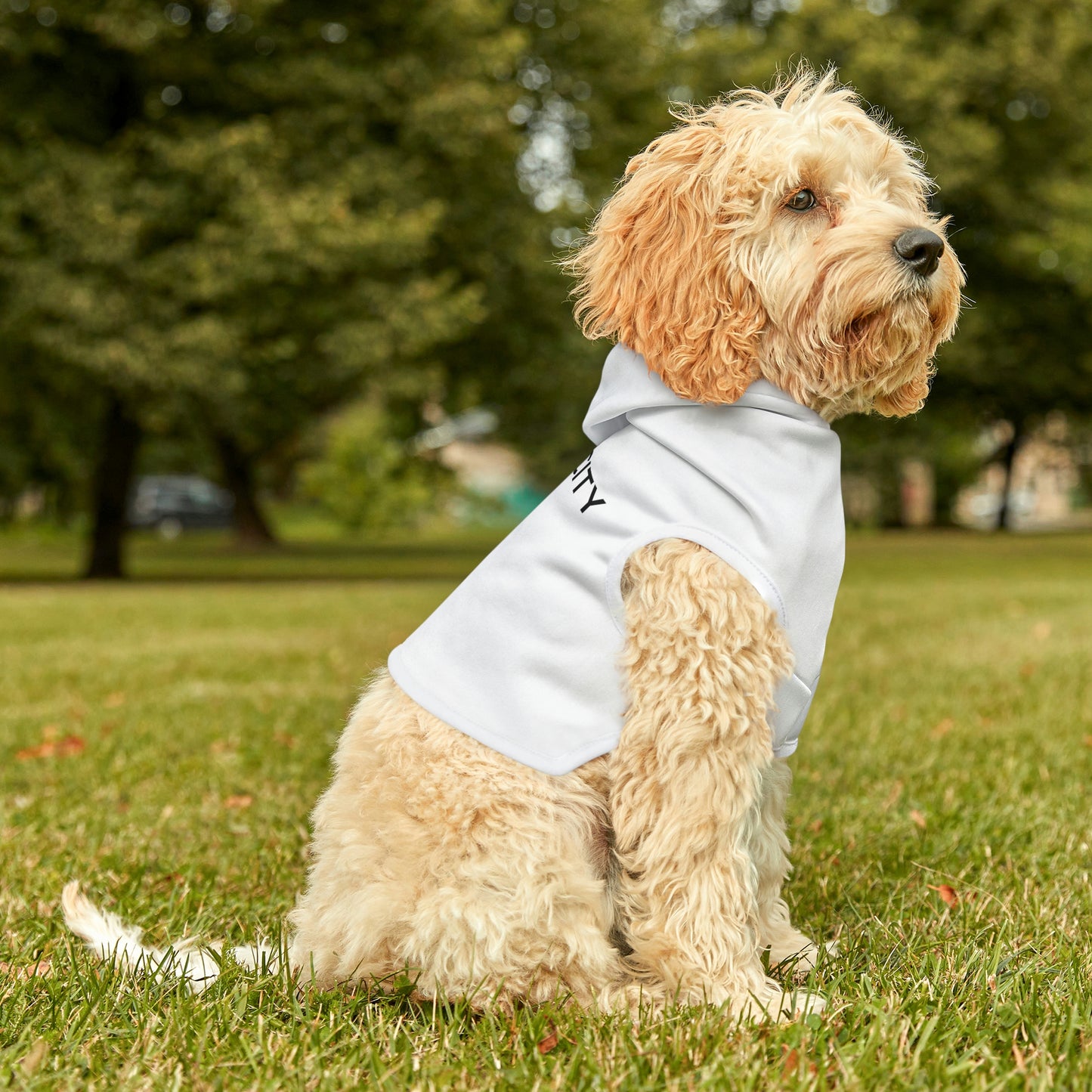Hoodie For Your Precious Pet